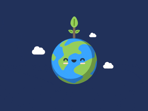 Animation | Logo Animation